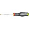 Facom Tournevis Protwist Torx Plus 20x100 Facom ATXP20X100