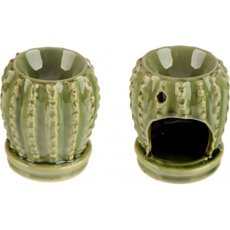 1001KDO Brule Parfum Cactus Vert