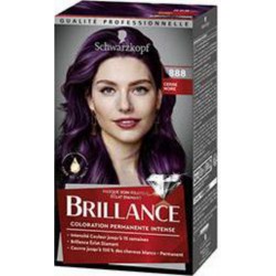 BRILLANCE CERISE NOIRE 888