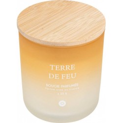 Atmosphera Bougie Parfumée Terre De Feu Bouquet De Lila 255g