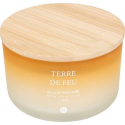 Atmosphera Bougie Parfumée Terre Des Merveilles Bouquet De Lila 420g