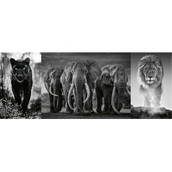 RAVENSBURGER Puzzle 1000 pièces Triptyque Panthère, éléphant, lion
